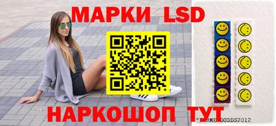 стаф Будённовск